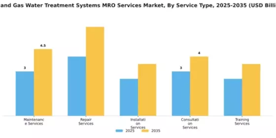 Oil and Gas Water Treatment Systems MRO Services Market Segment Image 2