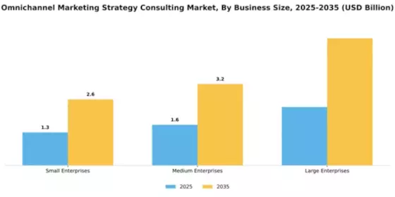Omnichannel Marketing Strategy Consulting Market Segment Image 1