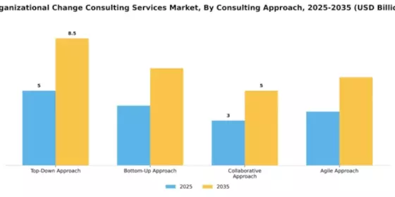 Organizational Change Consulting Services Market Segment Image 1