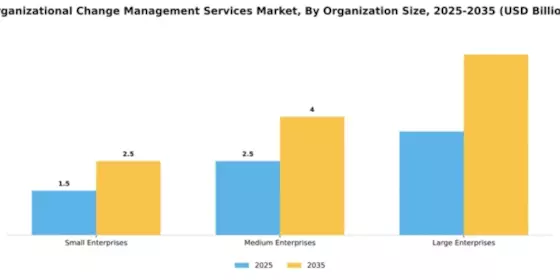 Organizational Change Management Services Market Segment Image 3