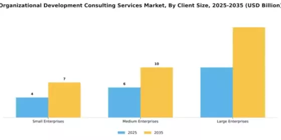 Organizational Development Consulting Services Market Segment Image 0