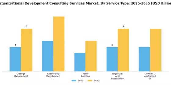 Organizational Development Consulting Services Market Segment Image 4