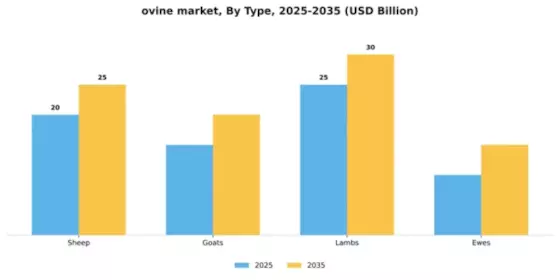 ovine market Segment Image 4