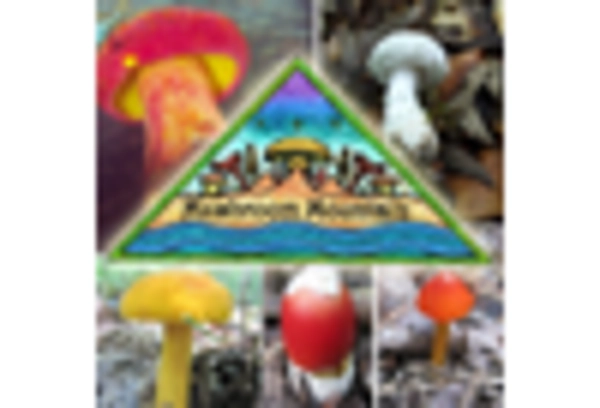 oyster mushroom market key player