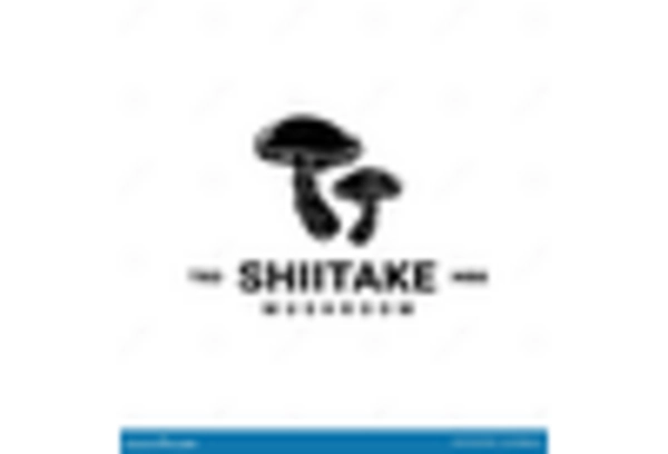 oyster mushroom market key player