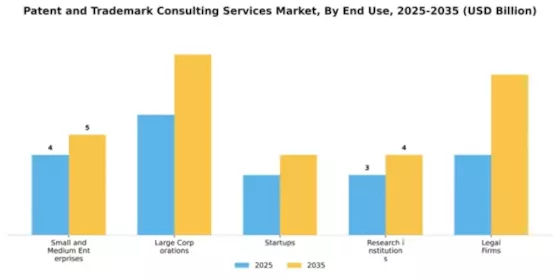 Patent and Trademark Consulting Services Market Segment Image 2