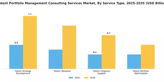 Patent Portfolio Management Consulting Services Market Segment Image 3