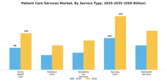 Patient Care Services Market Segment Image 2