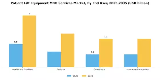 Patient Lift Equipment MRO Services Market Segment Image 1