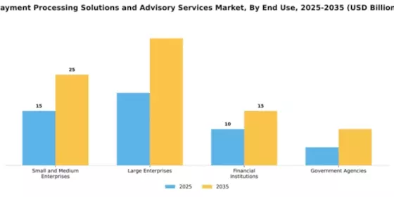 Payment Processing Solutions and Advisory Services Market Segment Image 1