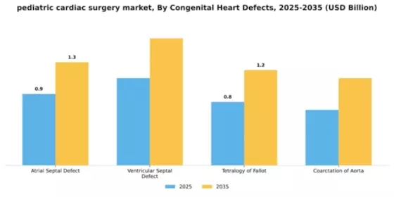 Pediatric Cardiac Surgery Market Segment Image 1
