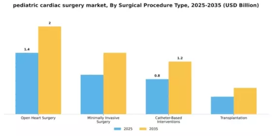 Pediatric Cardiac Surgery Market Segment Image 3