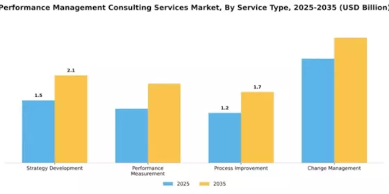 Performance Management Consulting Services Market Segment Image 4
