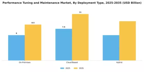 Performance Tuning and Maintenance Market Segment Image 1