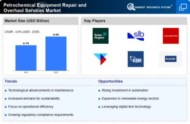 Petrochemical Equipment Repair and Overhaul Services Market Infographic