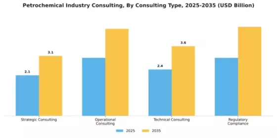 Petrochemical Industry Consulting Market Segment Image 1