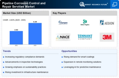 Pipeline Corrosion Control and Repair Services Market Infographic