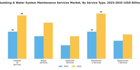 Plumbing & Water System Maintenance Services Market Segment Image 2