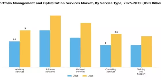 Portfolio Management and Optimization Services Market Segment Image 4