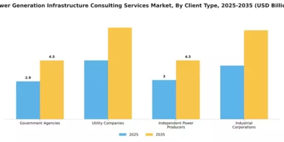 Power Generation Infrastructure Consulting Services Market Segment Image 1