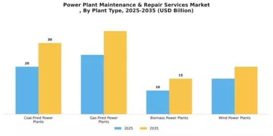 Power Plant Maintenance & Repair Services Market Segment Image 2