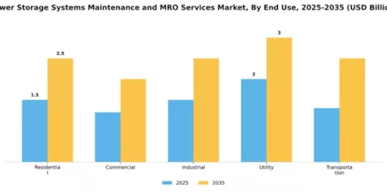 Power Storage Systems Maintenance and MRO Services Market Segment Image 1