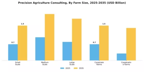 Precision Agriculture Consulting Market Segment Image 2