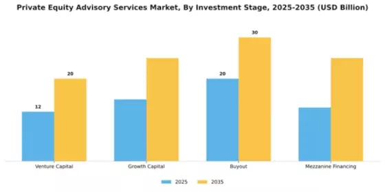 Private Equity Advisory Services Market Segment Image 2