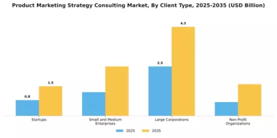 Product Marketing Strategy Consulting Market Segment Image 0