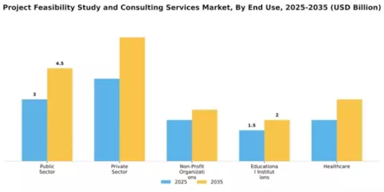 Project Feasibility Study and Consulting Services Market Segment Image 1