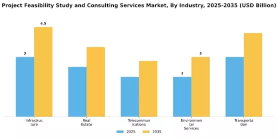 Project Feasibility Study and Consulting Services Market Segment Image 2
