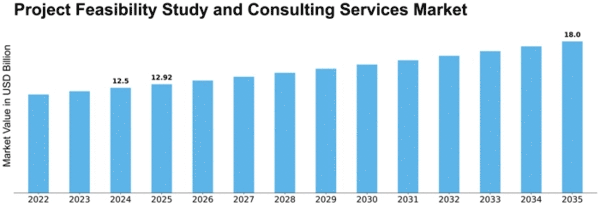 Project Feasibility Study and Consulting Services Market Size