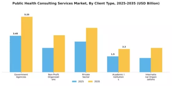 Public Health Consulting Services Market Segment Image 0