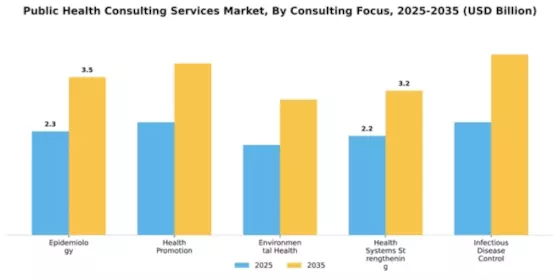 Public Health Consulting Services Market Segment Image 1