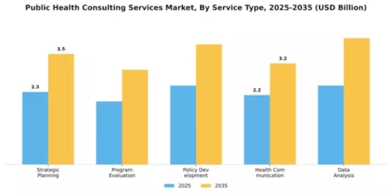 Public Health Consulting Services Market Segment Image 4