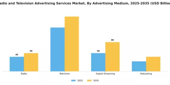 Radio and Television Advertising Services Market Segment Image 1