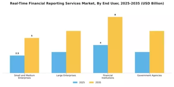 Real-Time Financial Reporting Services Market Segment Image 2