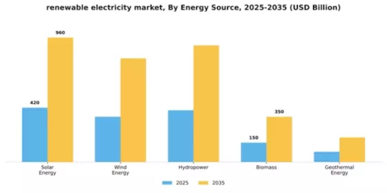 Renewable Electricity Market Segment Image 2
