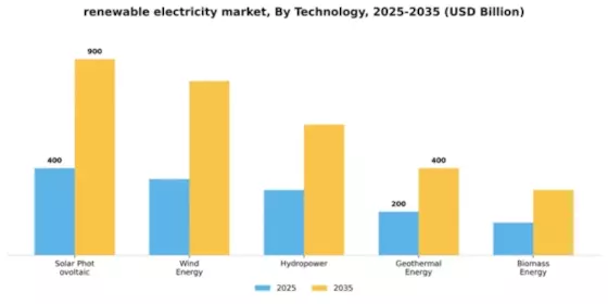 Renewable Electricity Market Segment Image 4