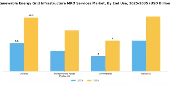Renewable Energy Grid Infrastructure MRO Services Market Segment Image 2