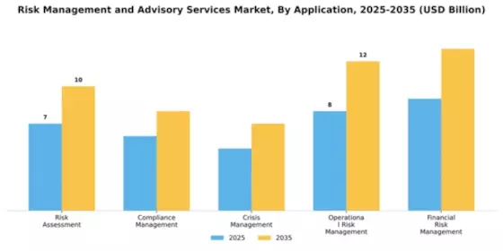 Risk Management and Advisory Services Market Segment Image 0