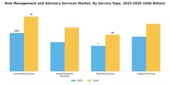 Risk Management and Advisory Services Market Segment Image 2