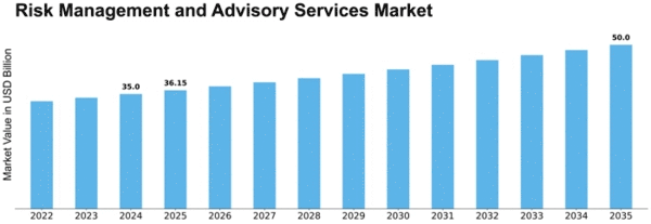 Risk Management and Advisory Services Market Size