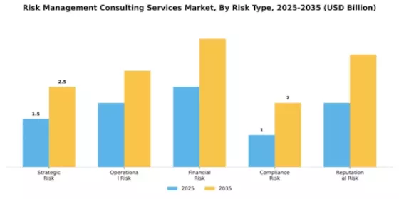 Risk Management Consulting Services Market Segment Image 3