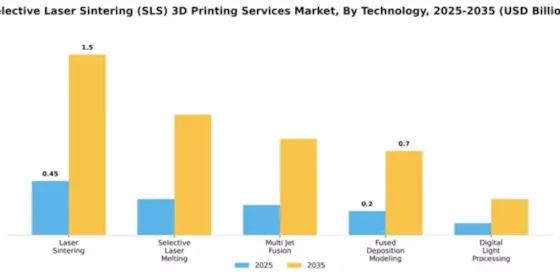 Selective Laser Sintering (SLS) 3D Printing Services Market Segment Image 4