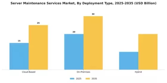 Server Maintenance Services Market Segment Image 0