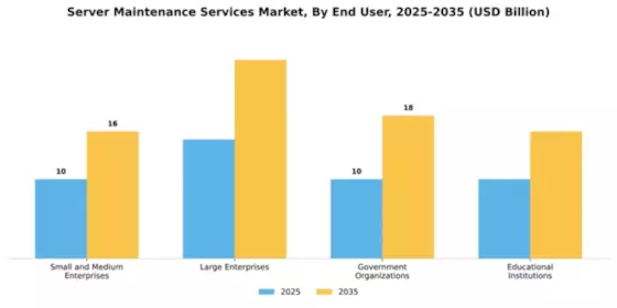 Server Maintenance Services Market Segment Image 1