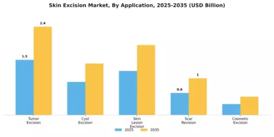 Skin Excision Market Segment Image 0