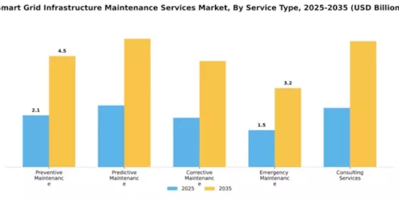 Smart Grid Infrastructure Maintenance Services Market Segment Image 3