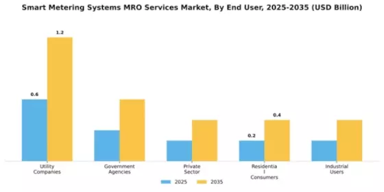 Smart Metering Systems MRO Services Market Segment Image 1
